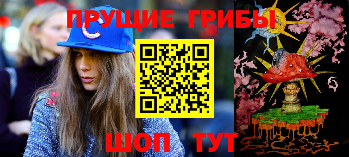купить   Вход с VPN  Королёв  Галлюциногенные грибы Cubensis 